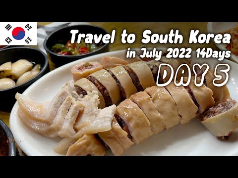 KR DAY5 Daegu (cidade metropolitana de Daegu) Último dia [Viajando pela Coreia] Diário de viagem de 14 dias