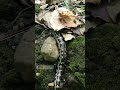 Its Too Slow Python Moving Slowly