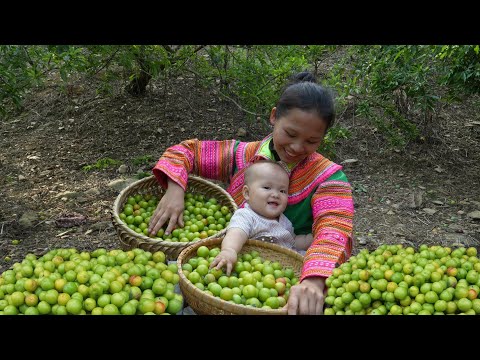180 Days - The Life of a 17-Year-Old Single Mother, Harvesting, Going to the Market