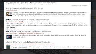 XenGenTr Google Custom Search Eklentisi
