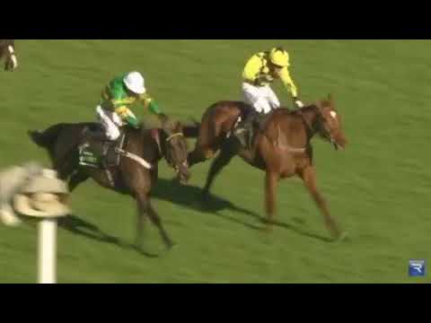 Unibet Champion Hurdle 2018 - Buveur D’Air defeats Melon