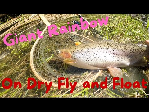 HOW TO Fish Dry Flies on Spinning Gear