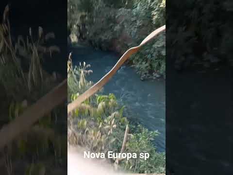 Nova Europa sp