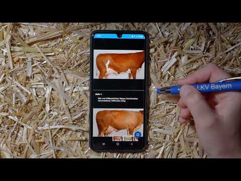 Die Erklärung zur LKV-Tierwohl App Teil 1