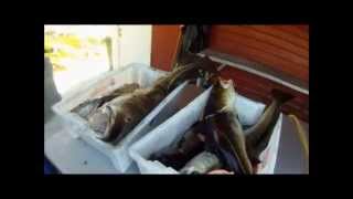 preview picture of video 'Spearfishing Hitra 04-2011'
