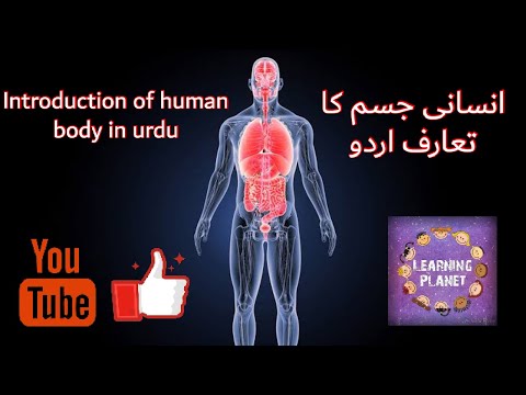 Human body system in urdu/hindi#Cell #tissue #organ #muscles #respiratory system #circulatory system