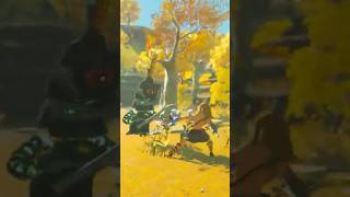 はじめましてショート #ゼルダの伝説 #ゼルダ #ティアーズオブザキングダム #ティアキン