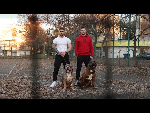 GRCA X MARKO BOJKOVIĆ - VELIKA CENA (JANKO DISSTRACK)