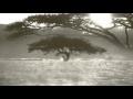 Brendon Moeller - The Urge 