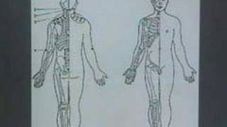 Aula Ryodoraku Acupuntura CEATA - Dr. Wu Tou Kwang 2-3