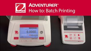 Laboratorní váhy Ohaus Adventurer AX: Batch Printing