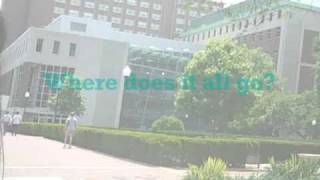 Where Does Your Money Go?