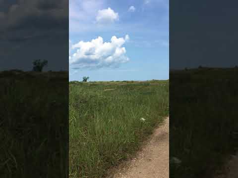 Beautiful prairie lands along one of the hiking trails