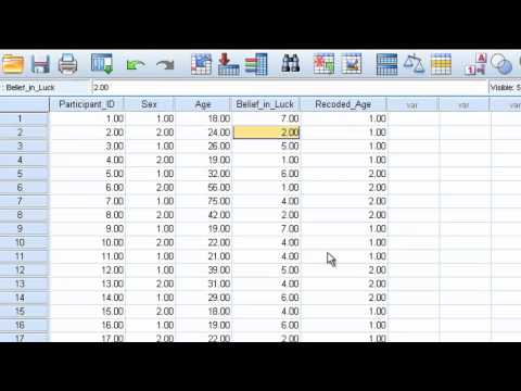 Command - Recode into Same or Different Variables