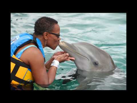 Our Family's MSC Divina Cruise, March 2017