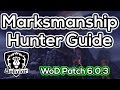 Marksmanship Hunter Guide - Warlords of Draenor ...