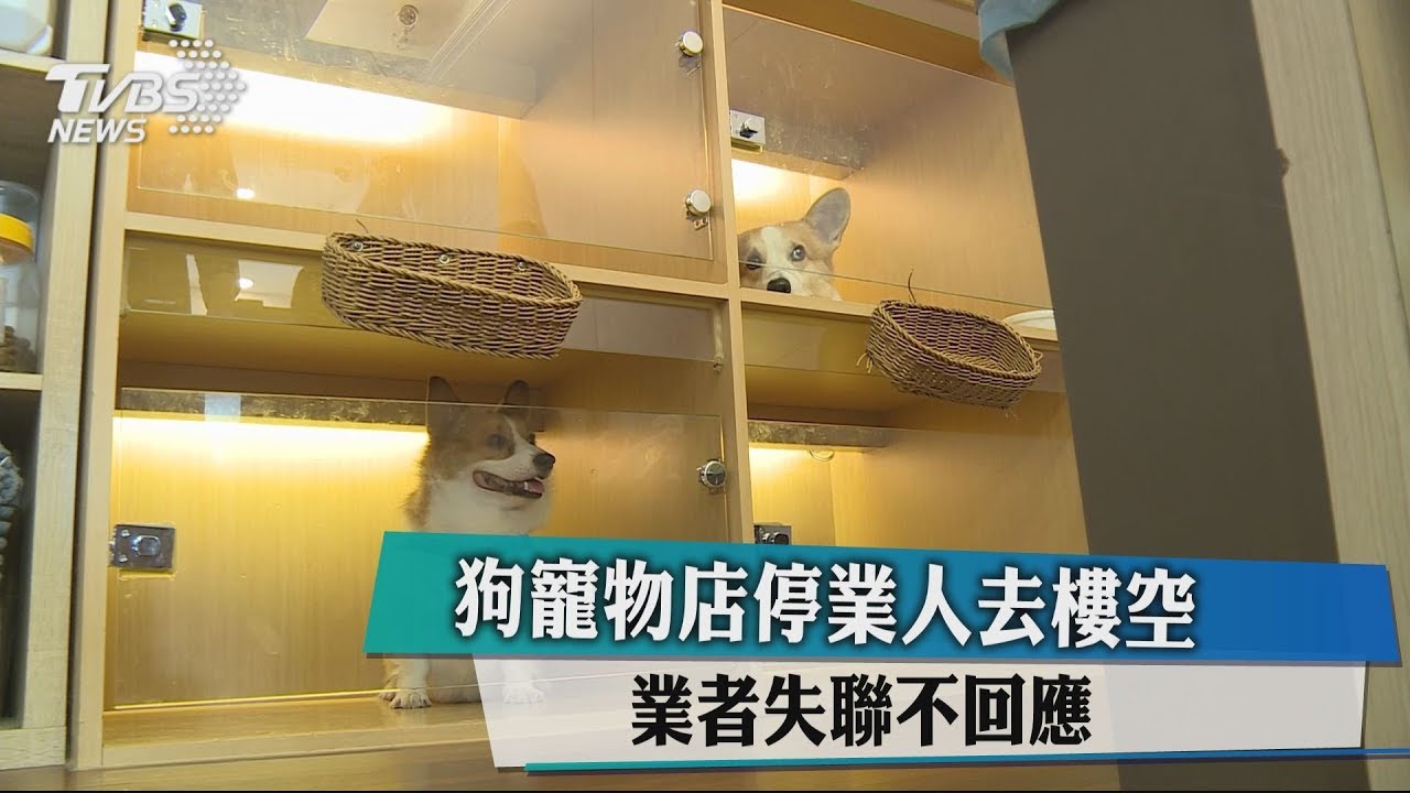 狗寵物店停業人去樓空 業者失聯不回應