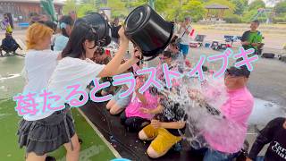 苺たるとラストIBUKIOROSHI in 平田公園グリーンドーム【2026:7:26】