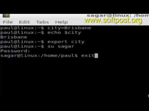 How to export environment variable in BASH shell terminal