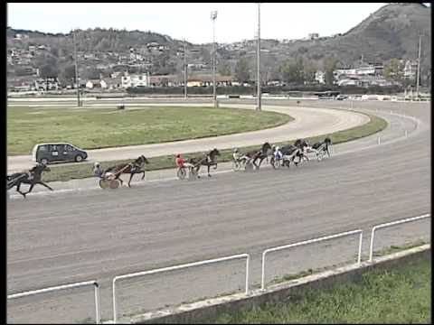 Trotto 05/03/2015 - 3° corsa