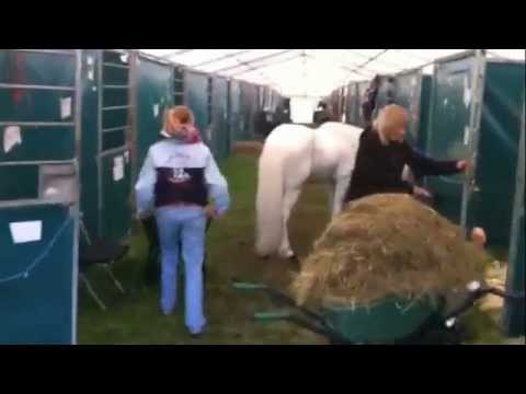 WM 2011 - Bragobert 29.07. - www.isibless.de