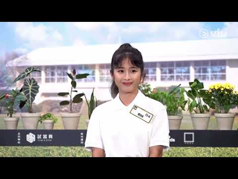 【viu1hk訪問】泰妹到底是何方神聖 曾試過隱瞞身份丨試當真丨校花校草2022丨康泰旅行團丨動作片丨武打丨丨泰妹丨楊雅文丨
