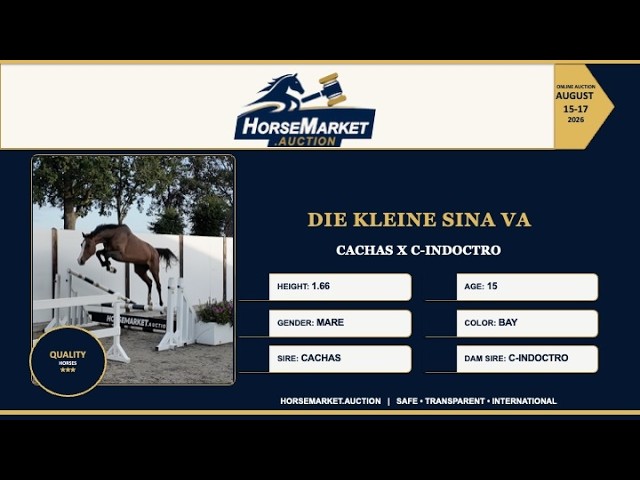 Die kleine Sina VA