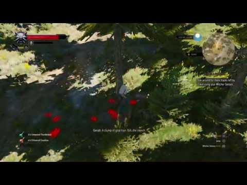 The Witcher 3: Wild Hunt TO BAIT A FORKTAIL / quest walkthrought