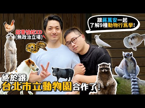 YouTuber合體蔣萬安拍片 北市府：立意良善公益合作