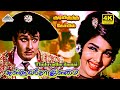 Thulluvatho Ilamai 4K Video Song Kudiyirundha Koyil MGR Jayalalithaa TMS MS Viswanathan