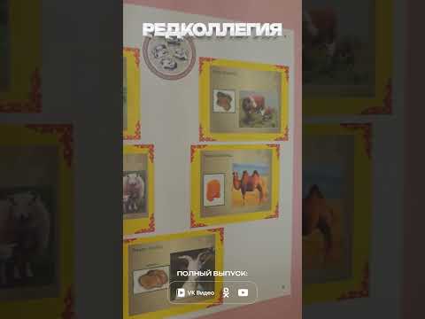 Удивительный детский сад маленького села Урда-Ага #забайкалье #редколлегия #интервью