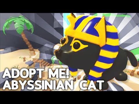 How To Get ABYSSINIAN CAT In Adopt Me! New Adopt Me Desert Pet