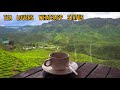 TEA LOVERS WHATSAPP STATUS TAMIL COFFEE KANYAKUMARI NAGERCOIL TRAVEL STRESS BIKE