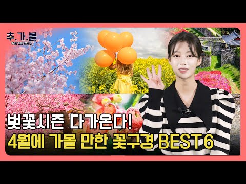 봄꽃특집 숨겨진 벚꽃, 유채꽃, 철쭉 성지 추천ㅣ 4월 가볼 만한 국내여행지 6곳ㅣ이달의 추천 가볼 만한 곳 길만 걷자