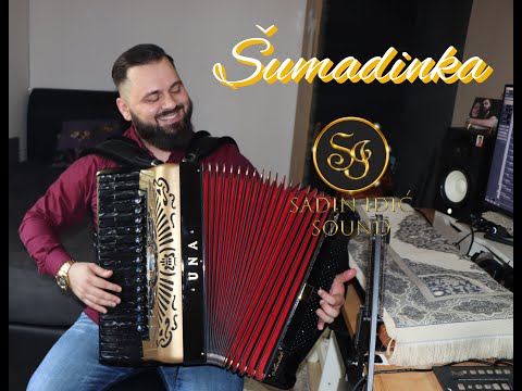 Sadin Idić (Zoran Vlajić) - Šumadinka / Harmonika UNA | SOUND TEST | NAJBOLJA HARMONIKA?
