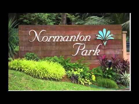 Humpback Oak - Normanton Park