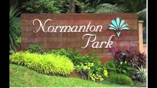 Humpback Oak - Normanton Park