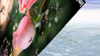 Download lagu anna astru astuti x rindu menanti mp3