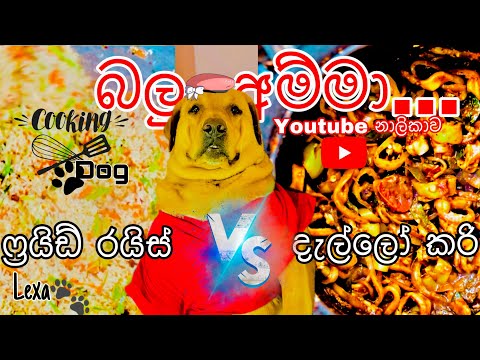 එන්න කෑම හදන්න බලු අම්මා එක්ක ❤️ Lexa????????