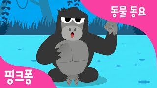 붐붐 고릴라 | 고릴라송 | 동물 동요 | 핑크퐁! 인기동요