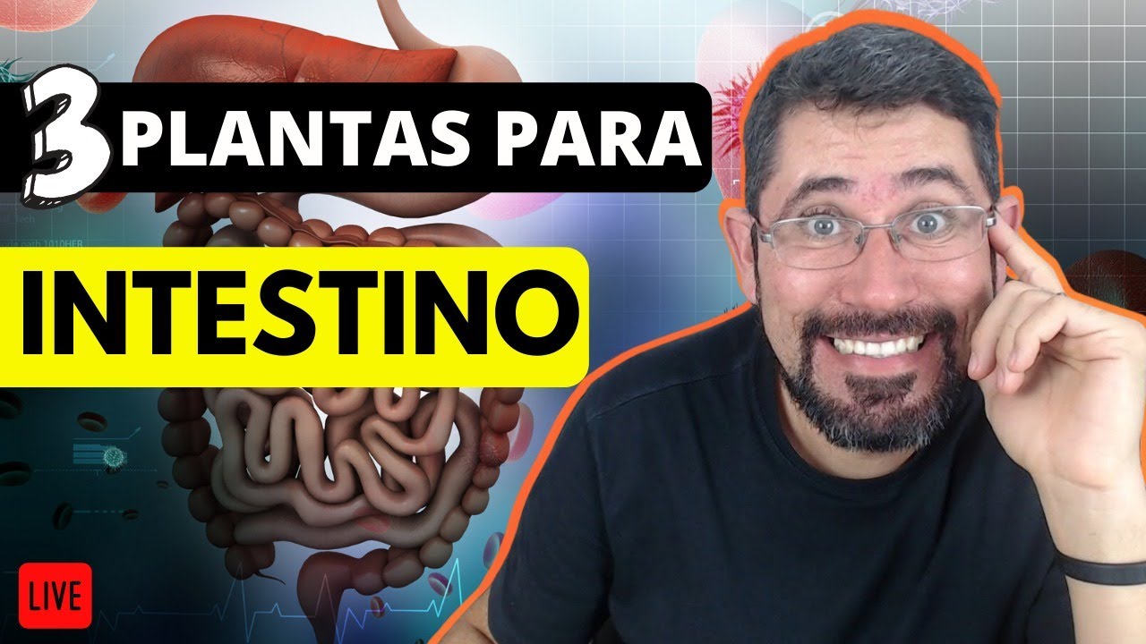 Plantas Incríveis para tratar Inflamações Intestinais!!