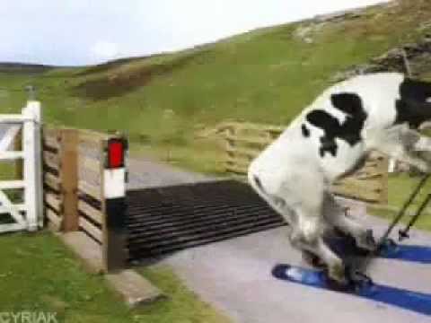 Acid Reflux - Dj RawCut