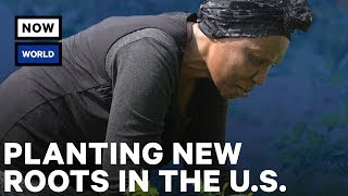 Planting New Roots in the U.S. | NowThis World
