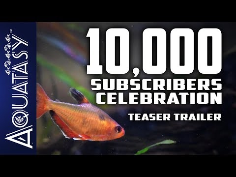 Aquatasy - 10,000 Subscribers Celebration Teaser Trailer