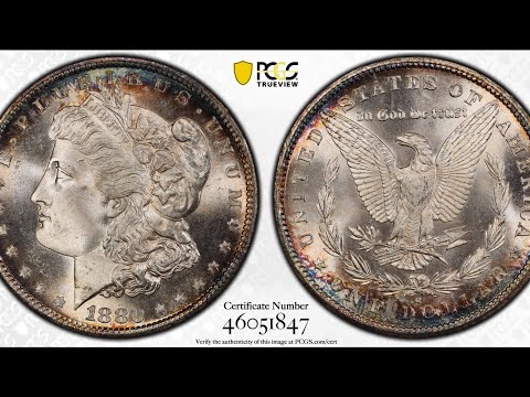 Crackout ANACS to PCGS - AMAZING Results! - Uncirculated Morgan Silver Dollars
