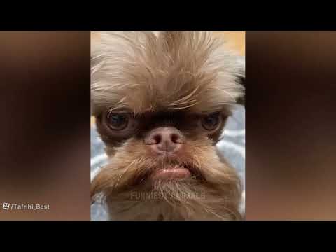 ۲۲ سپتامبر ۲۰۲۳