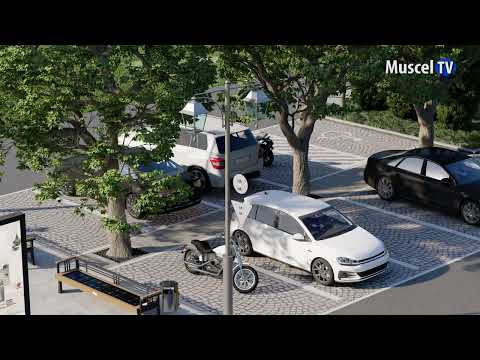 Jurnal MUSCEL TV 17.11.2022 Lucrări la Rotunda