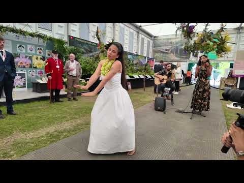 Hula dancing with Hawaiian orchids at this years RHS Chelsea Flower show