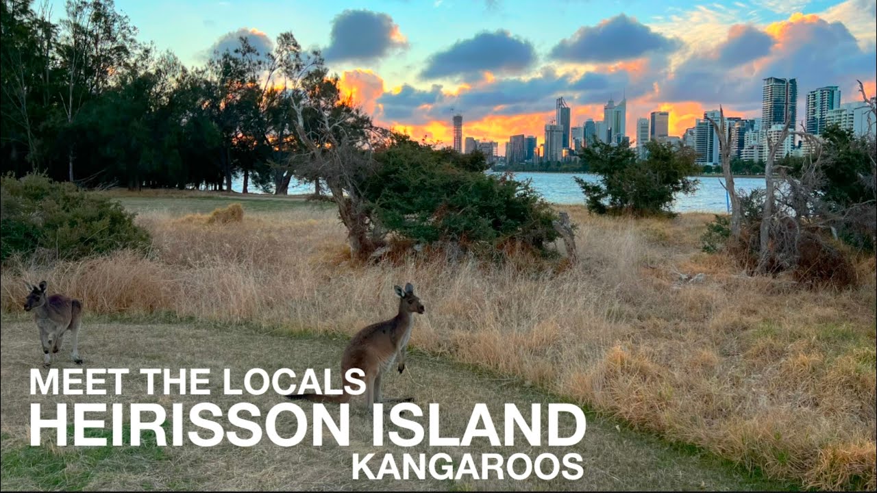 Take a tour of Heirisson Island from the lens of a traveler.