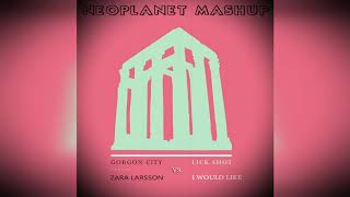 Gorgon City vs. Zara Larsson-Lick Shot vs. I Would Like (Neoplanet Mashup)